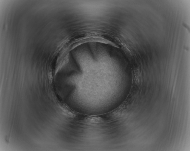 X0000090980716200708241403