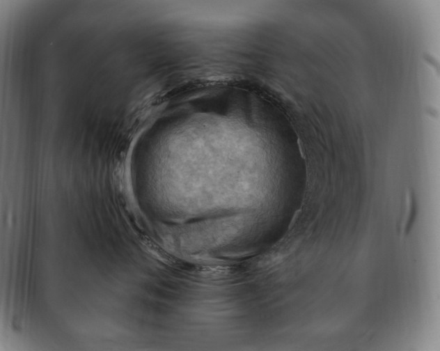 X0000090980720200708241403