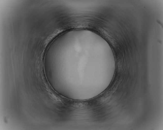 X0000090980721200708241402