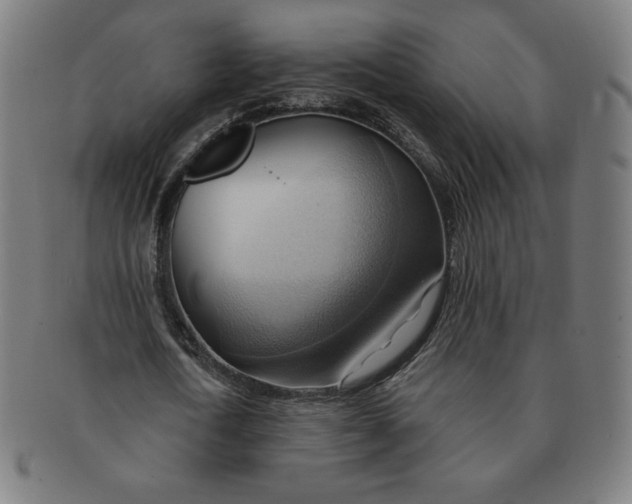 X0000090980722200708241402