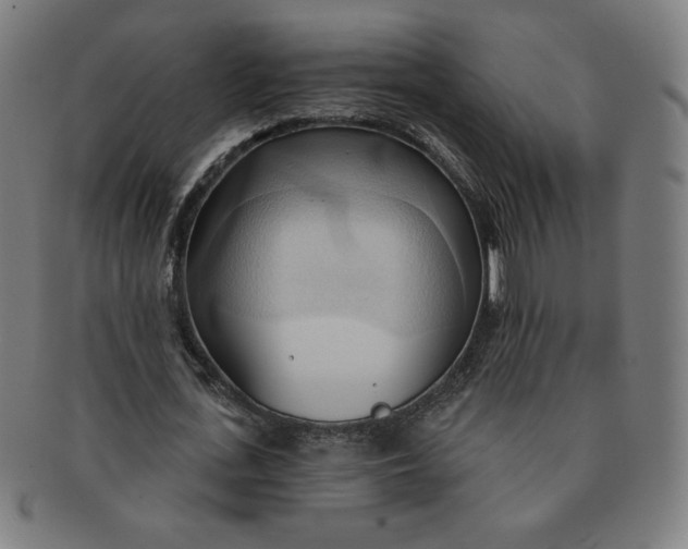 X0000090980723200708241402