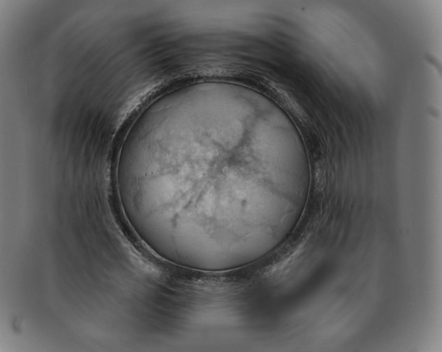 X0000090980725200708241402