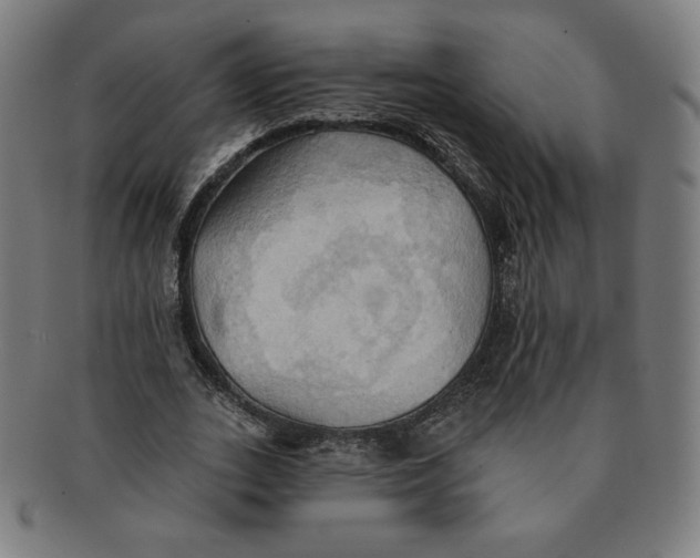 X0000090980727200708241402
