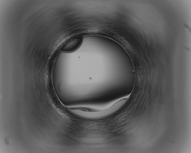 X0000090980728200708241402