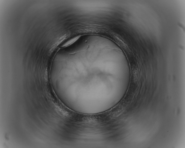 X0000090980729200708241402