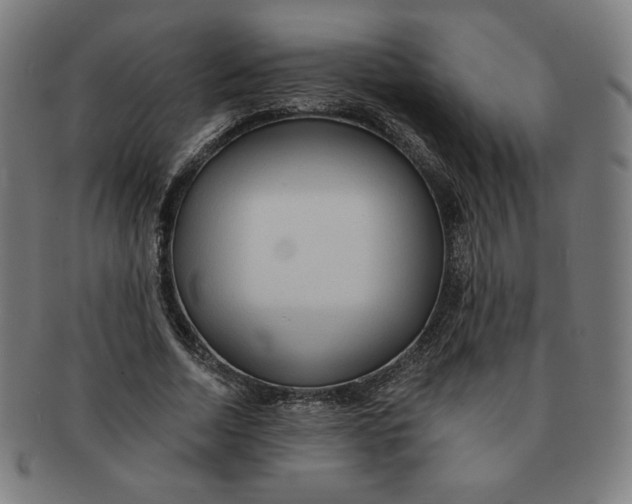X0000090980730200708241402