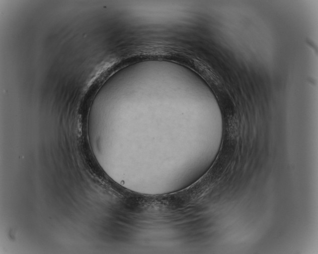 X0000090980731200708241402