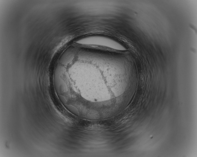 X0000090980734200708241402