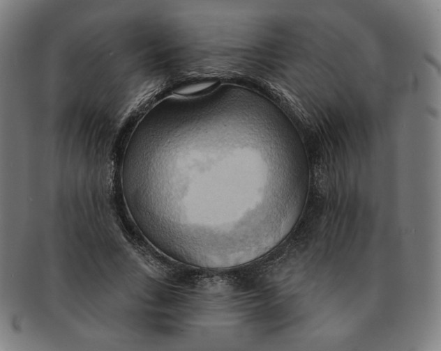X0000090980735200708241402