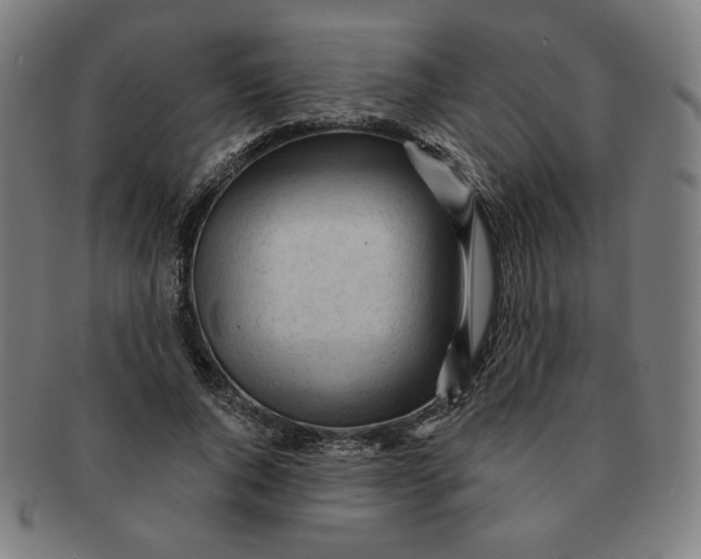X0000090980736200708241402