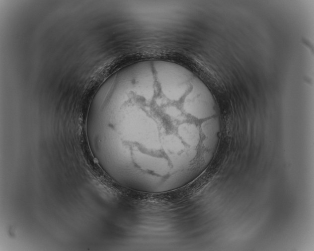 X0000090980737200708241402