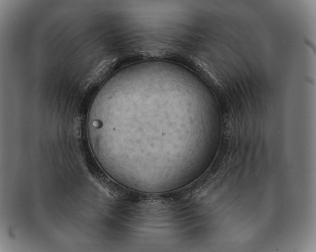 X0000090980738200708241402