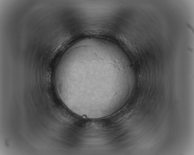 X0000090980739200708241402