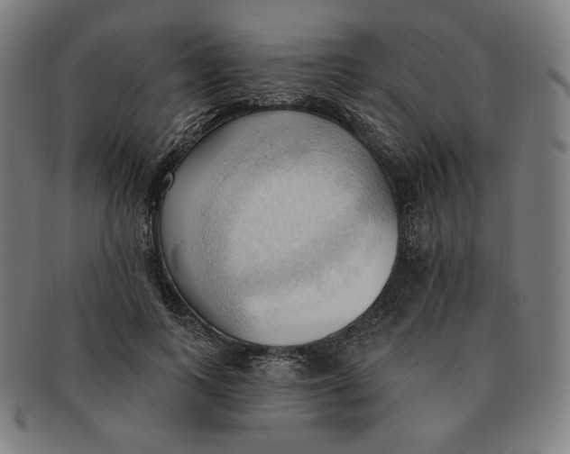 X0000090980743200708241403