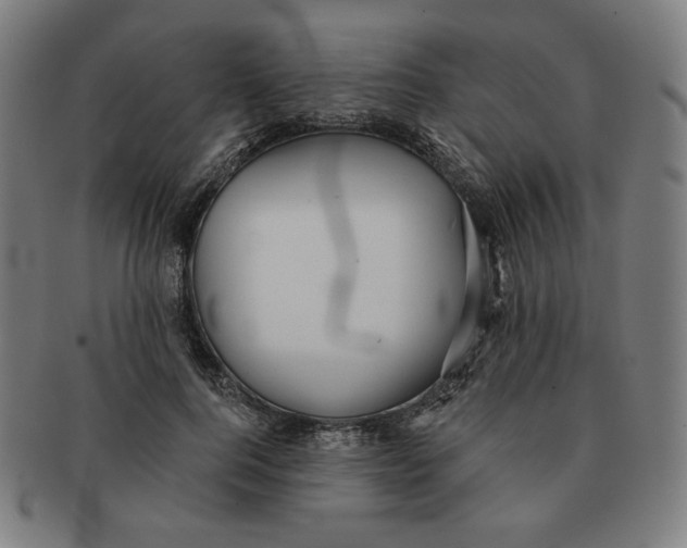 X0000090980744200708241403