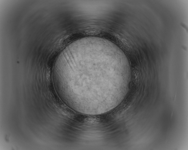 X0000090980745200708241403