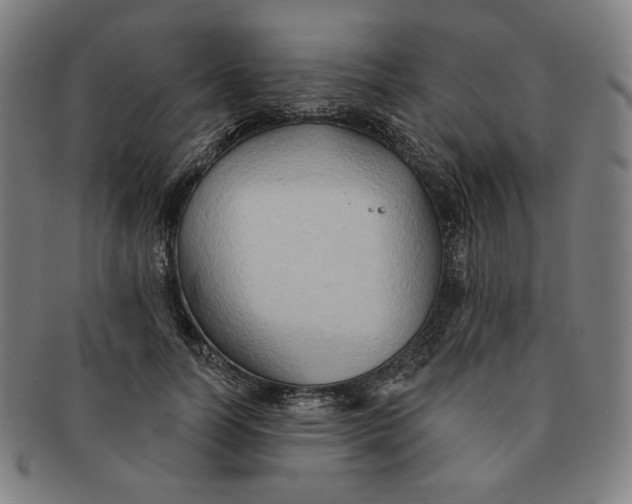 X0000090980746200708241403