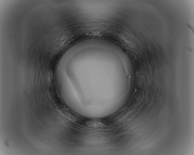 X0000090980747200708241403