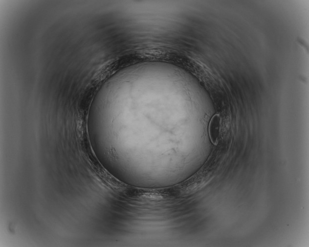 X0000090980749200708241403