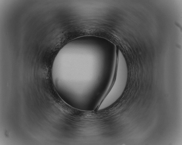 X0000090980750200708241403