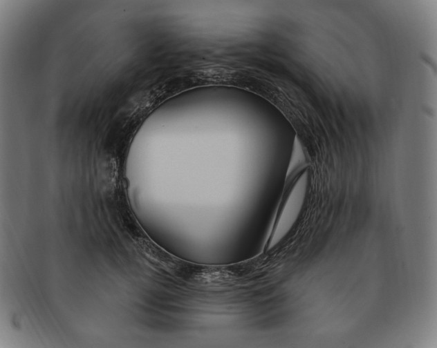 X0000090980752200708241403