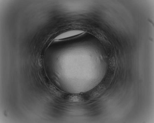 X0000090980755200708241403