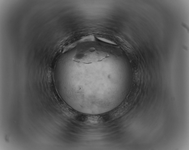 X0000090980757200708241403