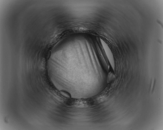 X0000090980760200708241403