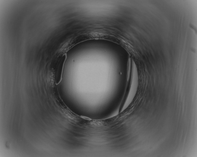 X0000090980762200708241403