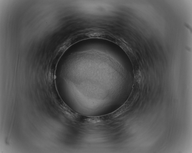 X0000090980763200708241403