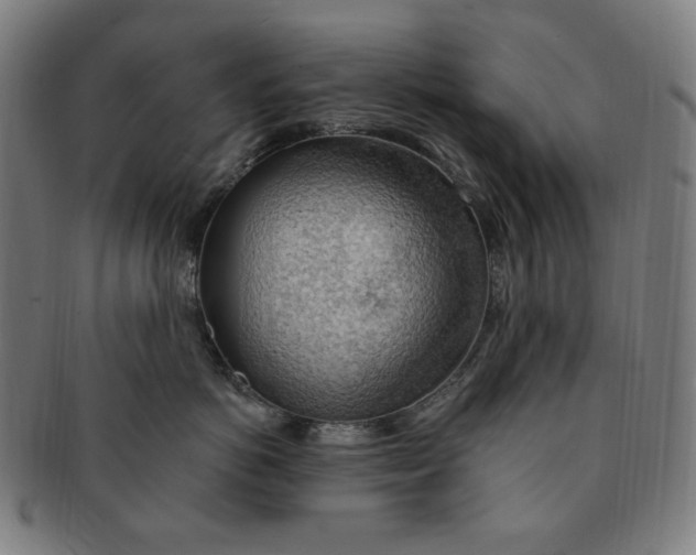 X0000090980766200708241403