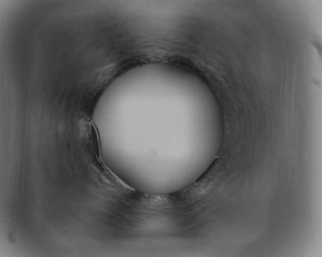 X0000090980768200708241403