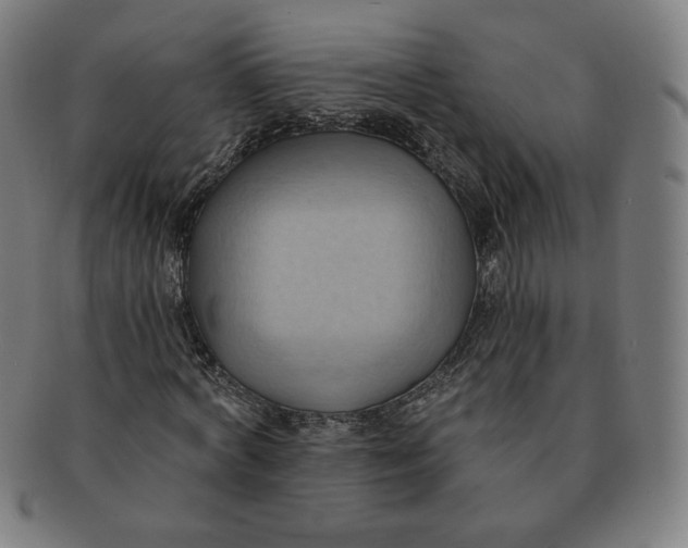 X0000090980772200708241402