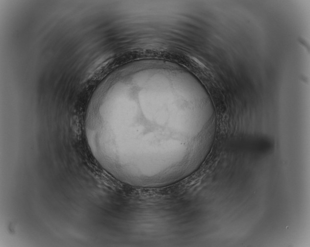 X0000090980774200708241402