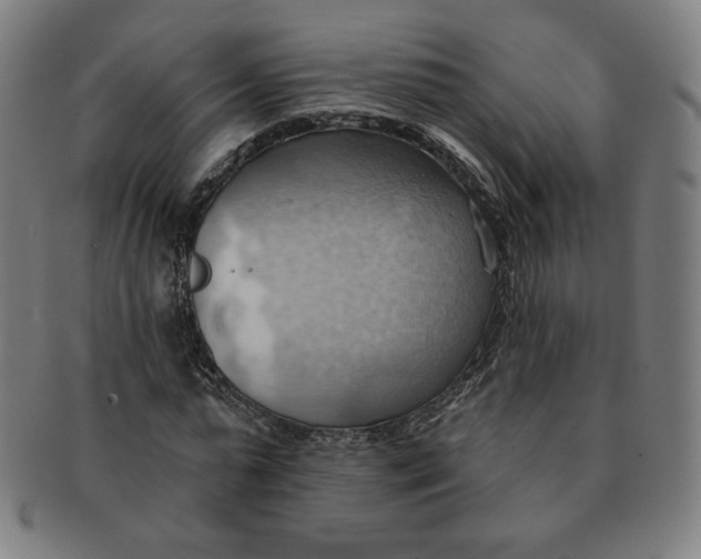 X0000090980775200708241402