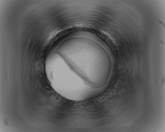 X0000090980776200708241402