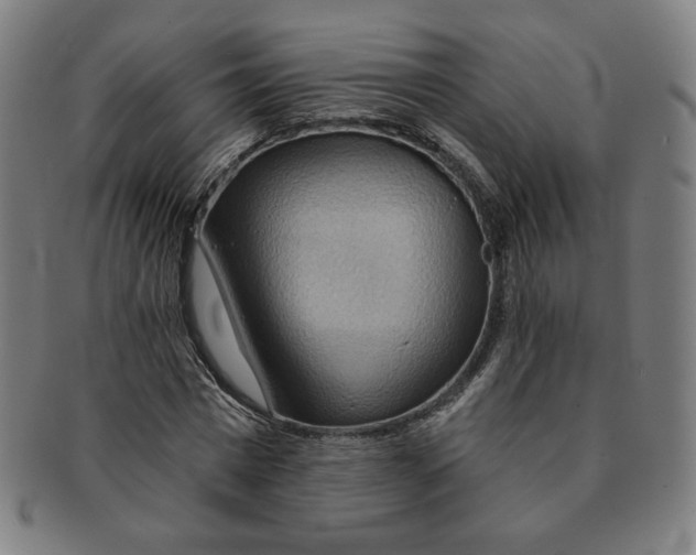 X0000090980777200708241402