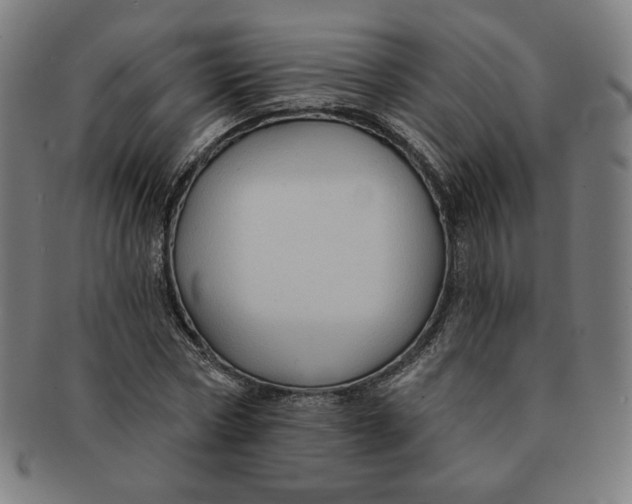 X0000090980778200708241402