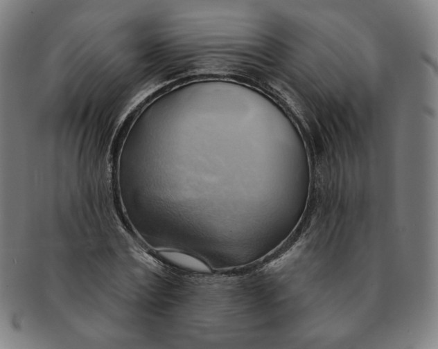 X0000090980779200708241402