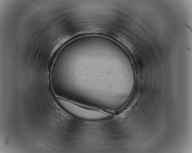 X0000090980781200708241402