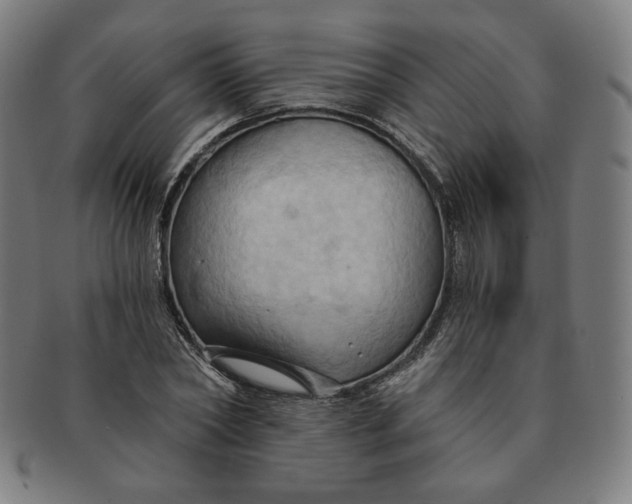 X0000090980782200708241402