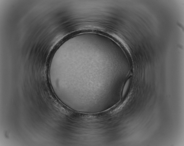 X0000090980783200708241402