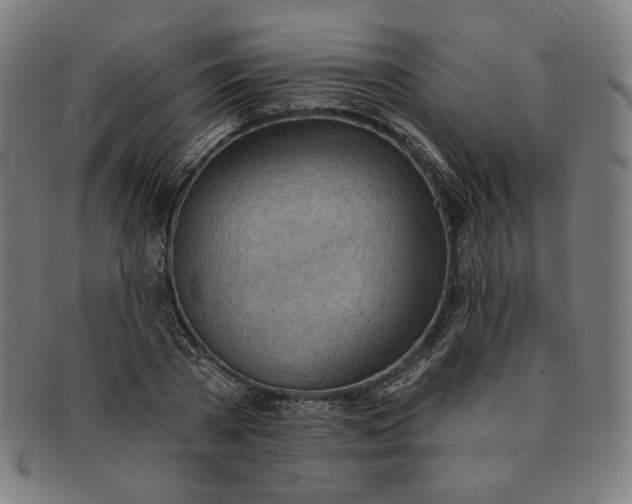 X0000090980785200708241402