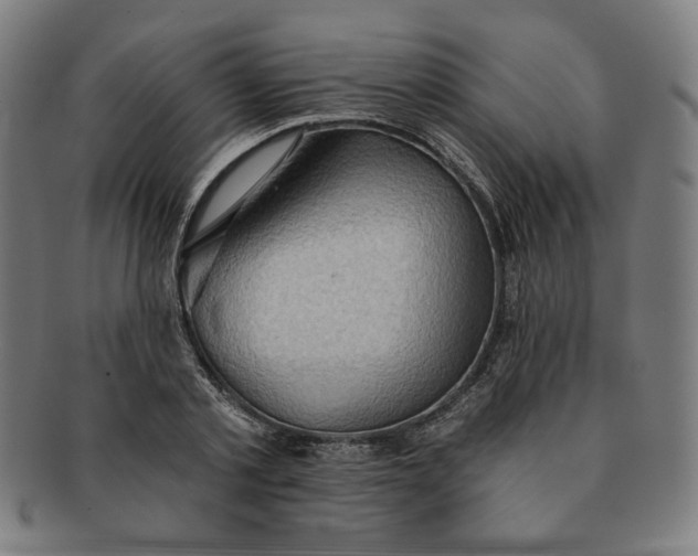 X0000090980789200708241402