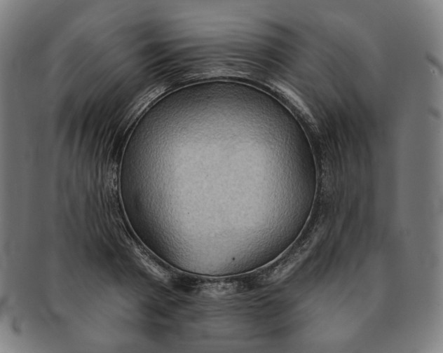 X0000090980793200708241402