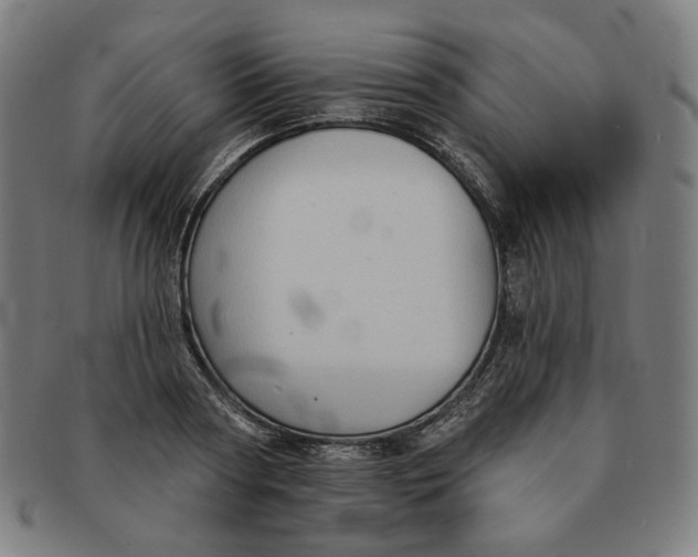 X0000090980794200708241402