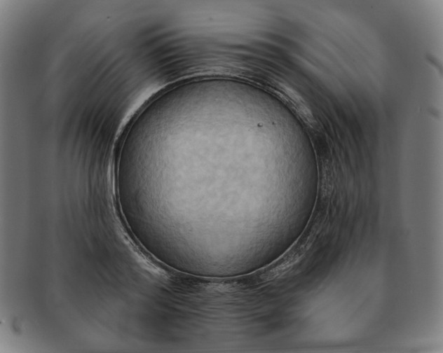 X0000090980796200708241402