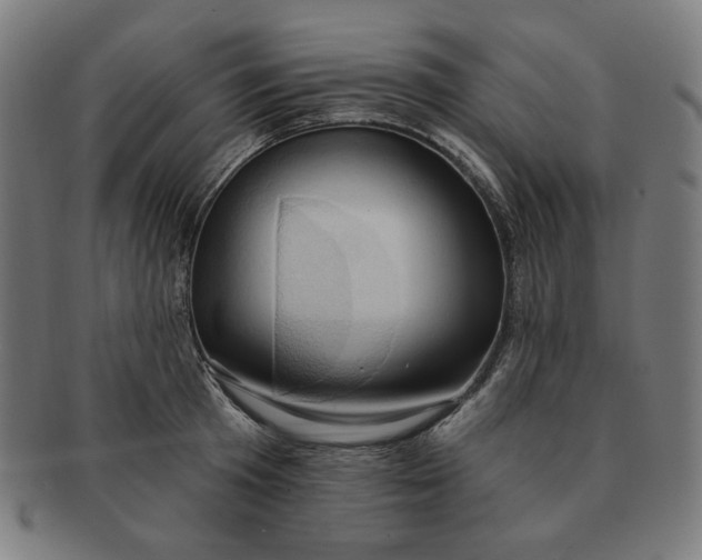 X0000090980801200708241402