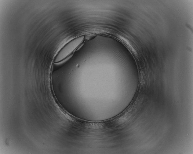 X0000090980802200708241402