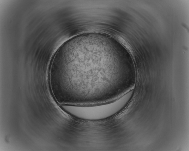 X0000090980803200708241402